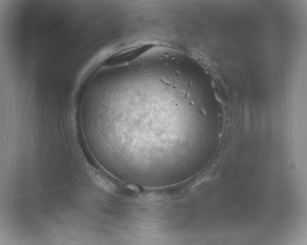 X0000068850197200605192000