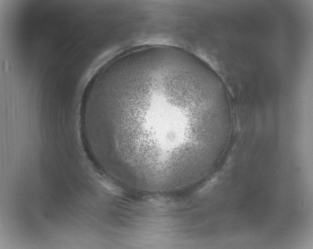 X0000068850199200605192000