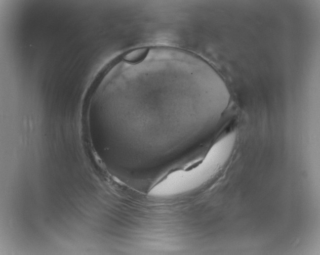 X0000068850200200605192000