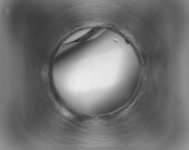 X0000068850201200605192000