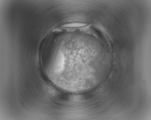 X0000068850202200605192000