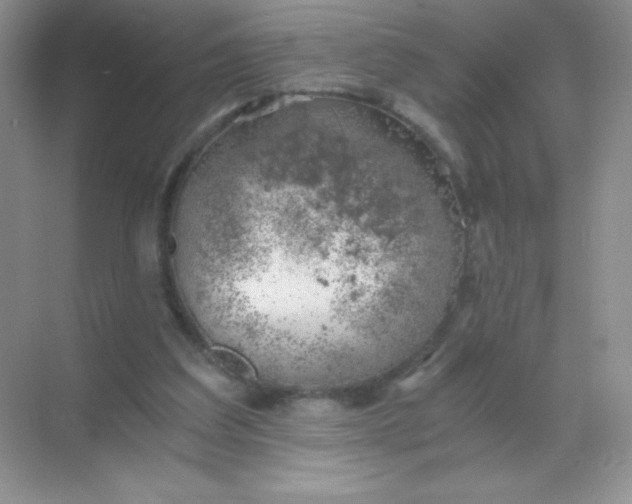 X0000068850203200605192000