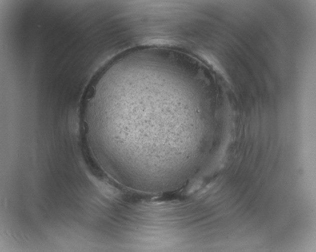 X0000068850204200605192000