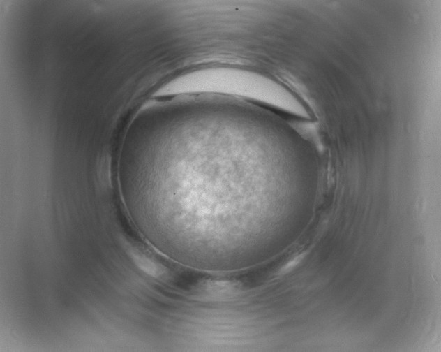 X0000068850205200605192000