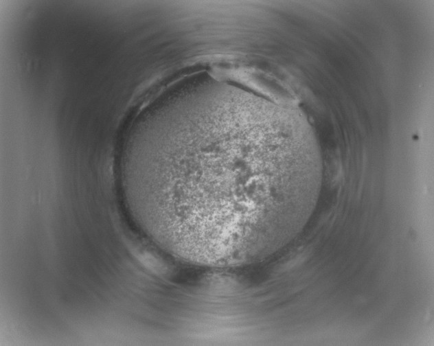 X0000068850207200605192000