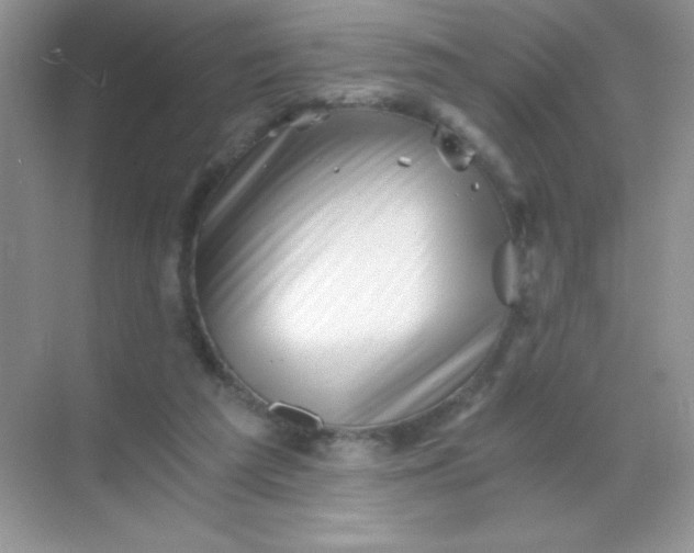 X0000068850209200605192000