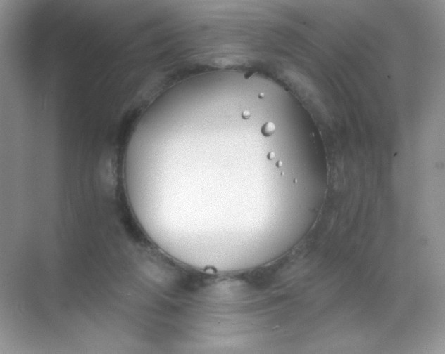 X0000068850210200605192000