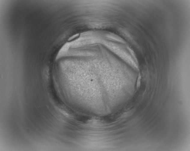 X0000068850211200605192000