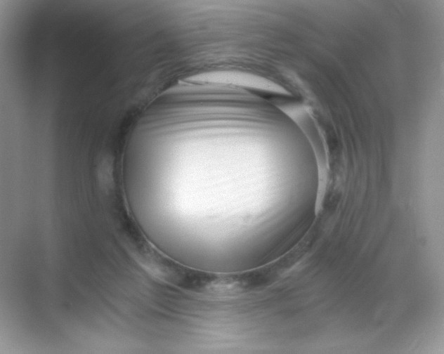 X0000068850213200605192000