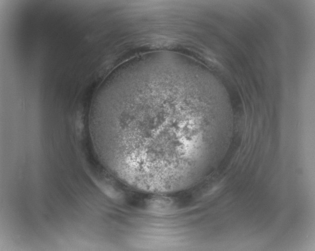 X0000068850215200605192000