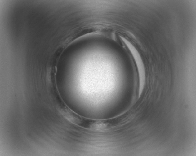 X0000068850217200605192000