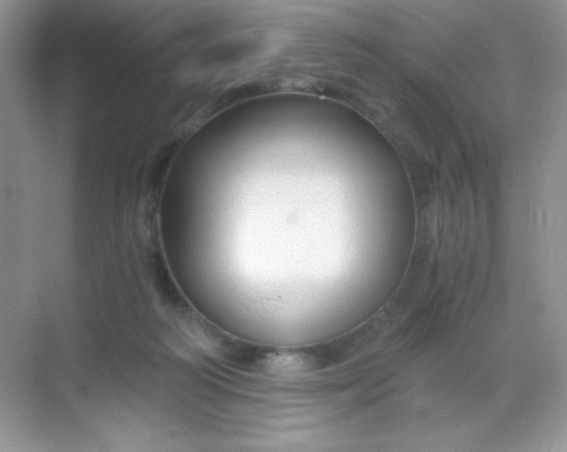 X0000068850218200605192000