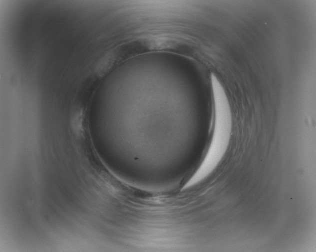 X0000068850219200605192000