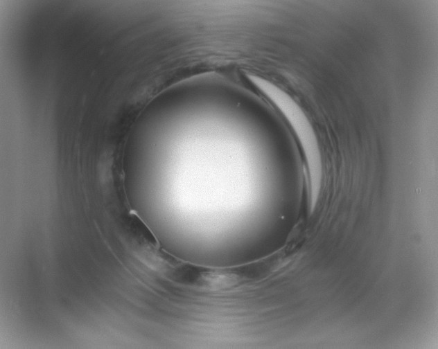 X0000068850221200605192000