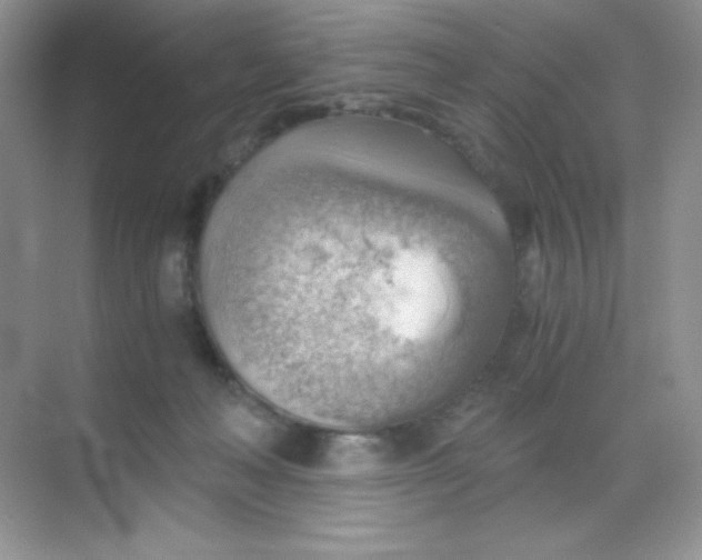 X0000068850222200605191959