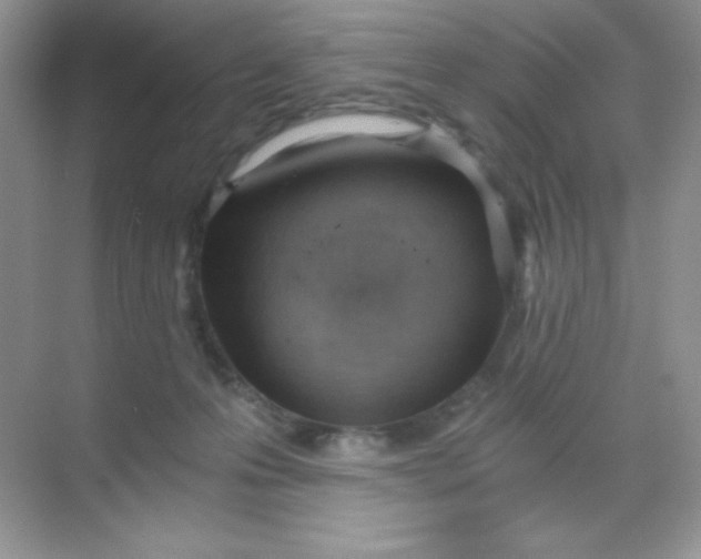 X0000068850223200605191959