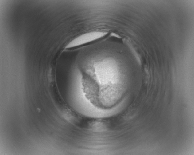 X0000068850224200605191959