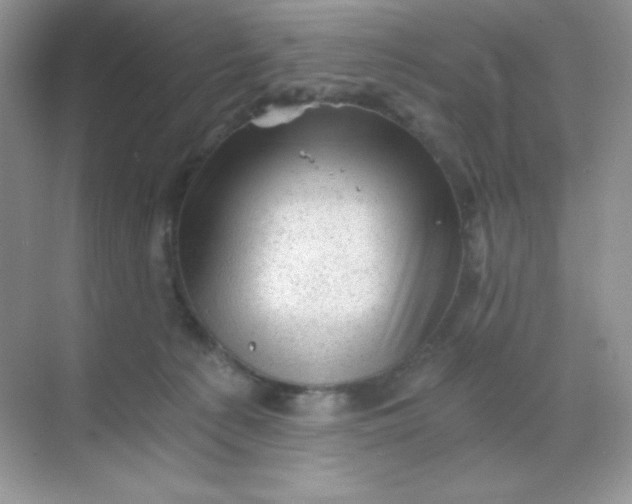 X0000068850225200605191959