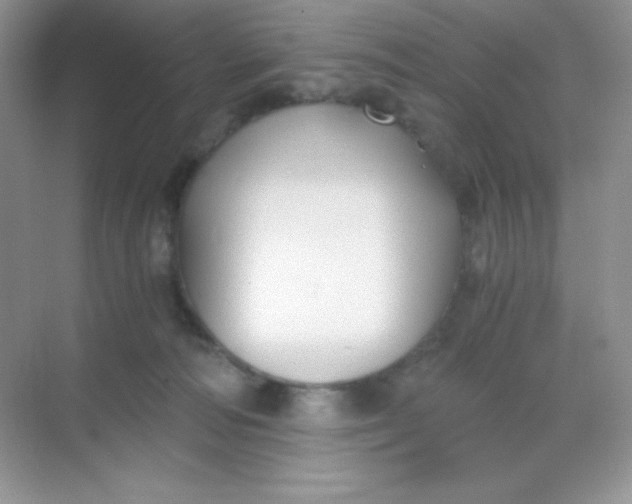 X0000068850226200605191959