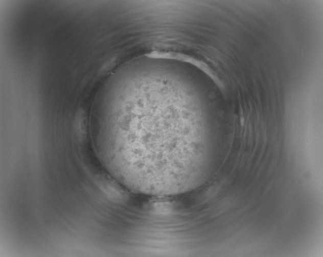 X0000068850228200605191959