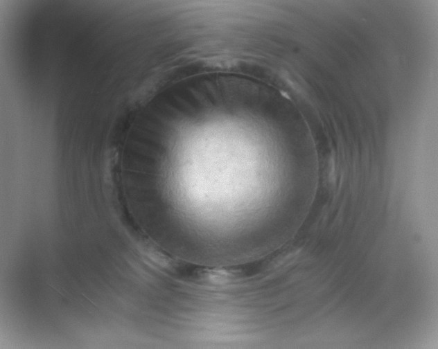 X0000068850229200605191959