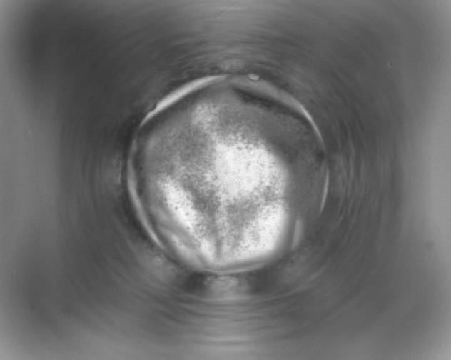 X0000068850230200605191959