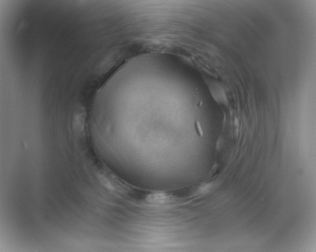 X0000068850231200605191959