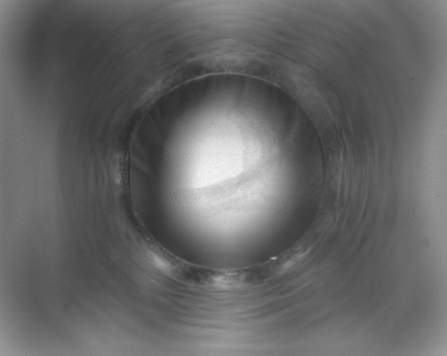 X0000068850232200605191959