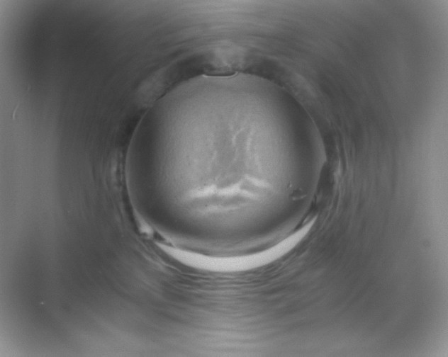 X0000068850233200605191959