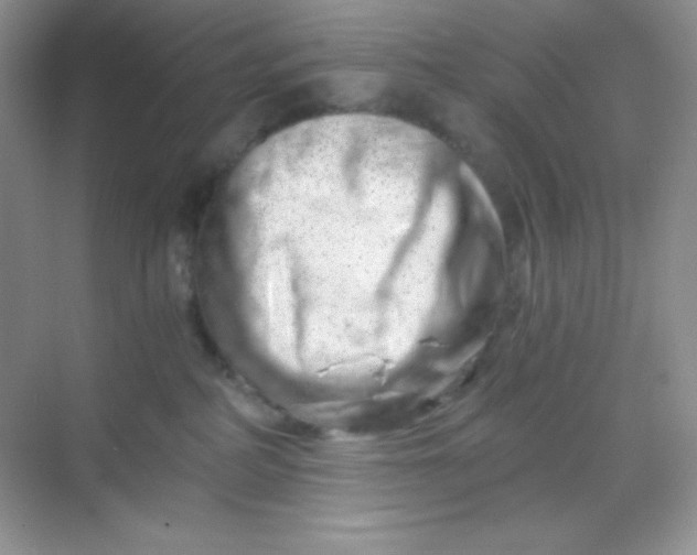 X0000068850234200605191959