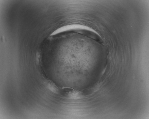 X0000068850235200605191959