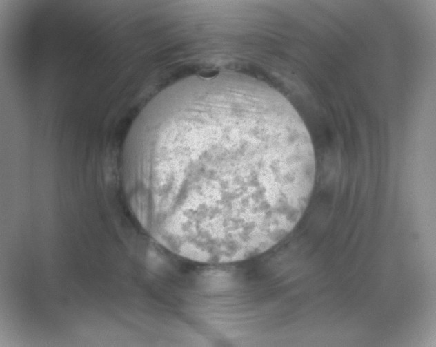 X0000068850236200605191959