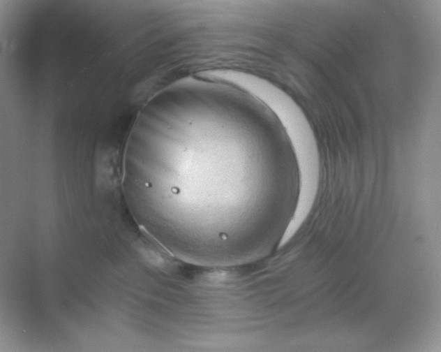 X0000068850237200605191959