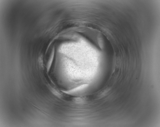 X0000068850238200605191959