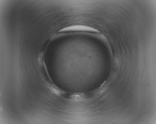 X0000068850239200605191959