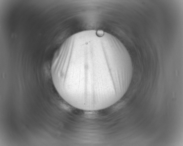 X0000068850240200605191959