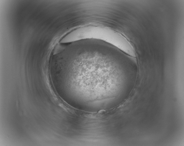 X0000068850241200605191958