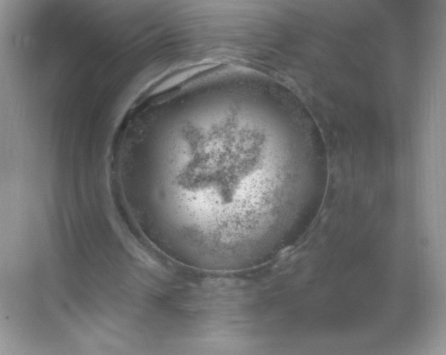 X0000068850242200605191958