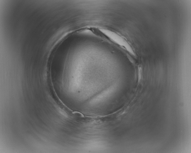 X0000068850243200605191958