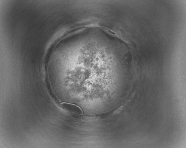 X0000068850245200605191958