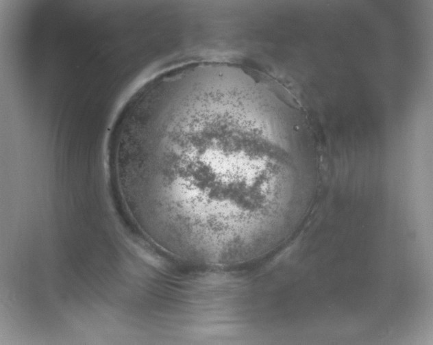 X0000068850246200605191958