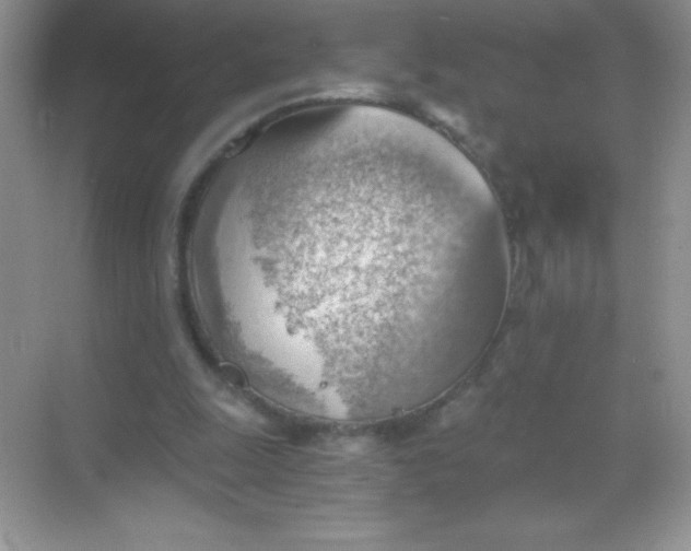 X0000068850247200605191958