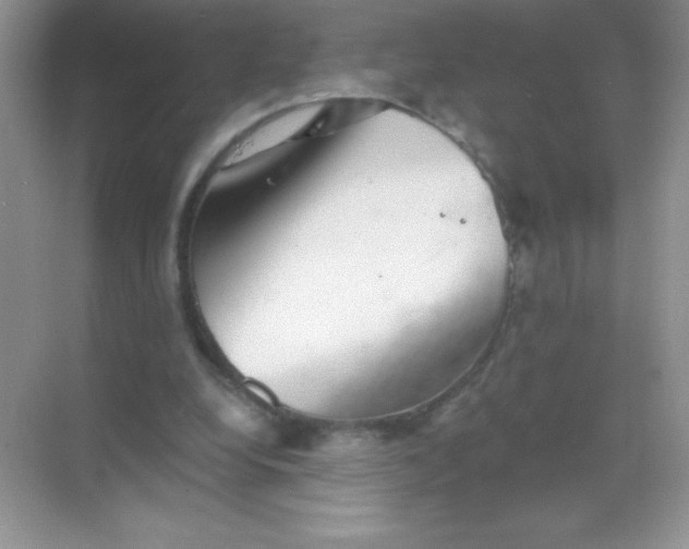 X0000068850248200605191959