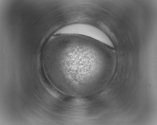 X0000068850250200605191959