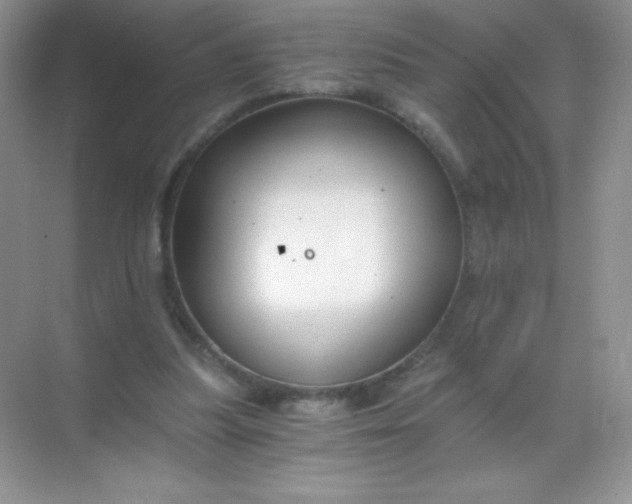 X0000068850251200605191959