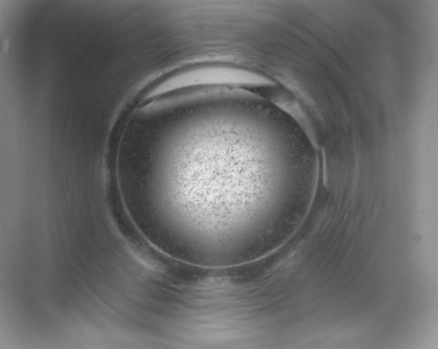 X0000068850252200605191959