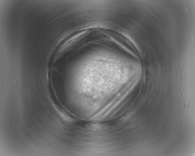 X0000068850253200605191959