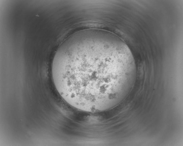 X0000068850255200605191959