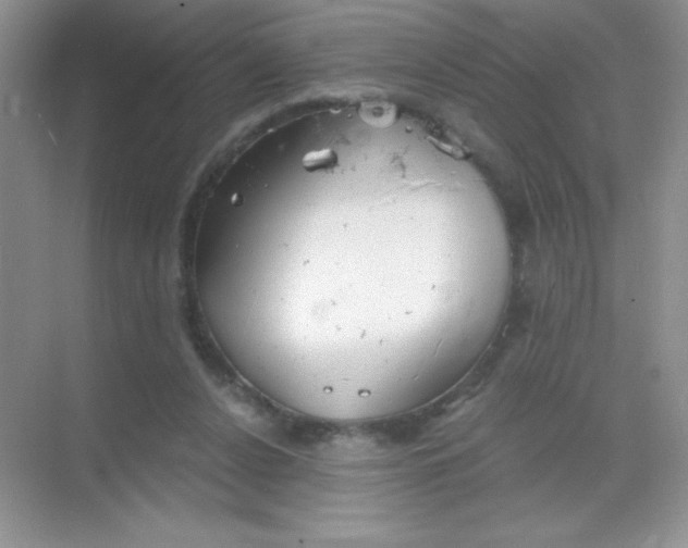 X0000068850256200605191959