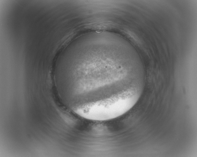 X0000068850258200605191959